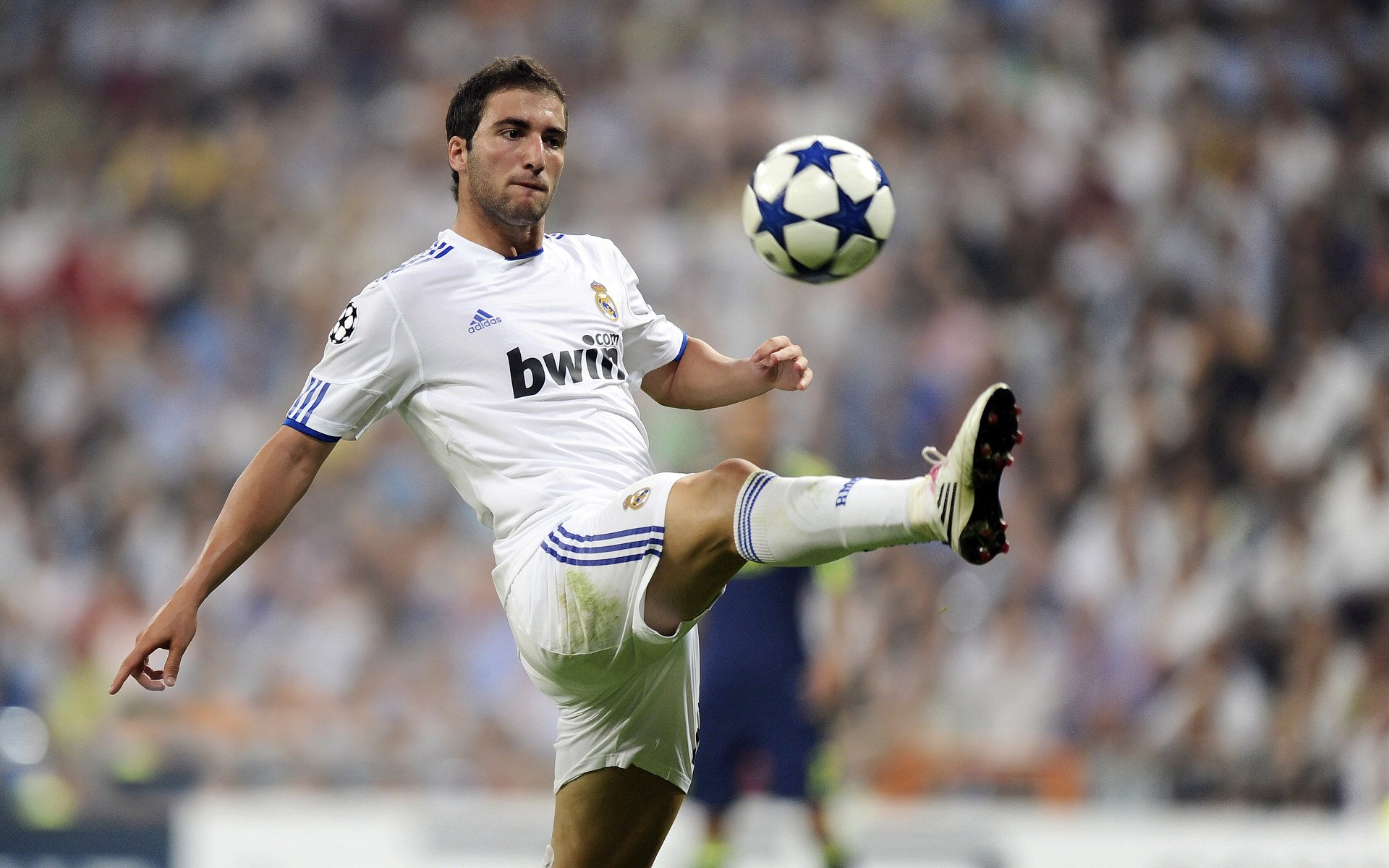 绿茵场上的两极,C罗的岁月神话与加拿大的青春风暴